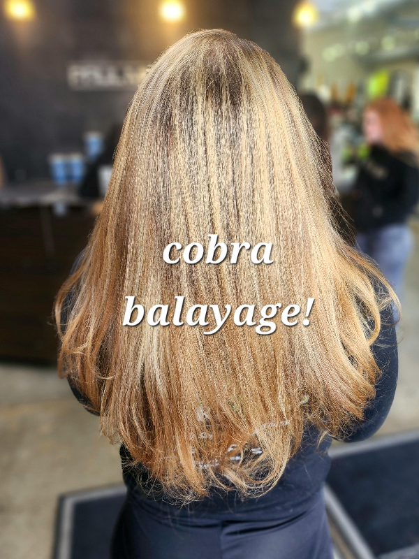 Hairdelicious Sanctuary Salon In Midtown Reno NV Vagaro